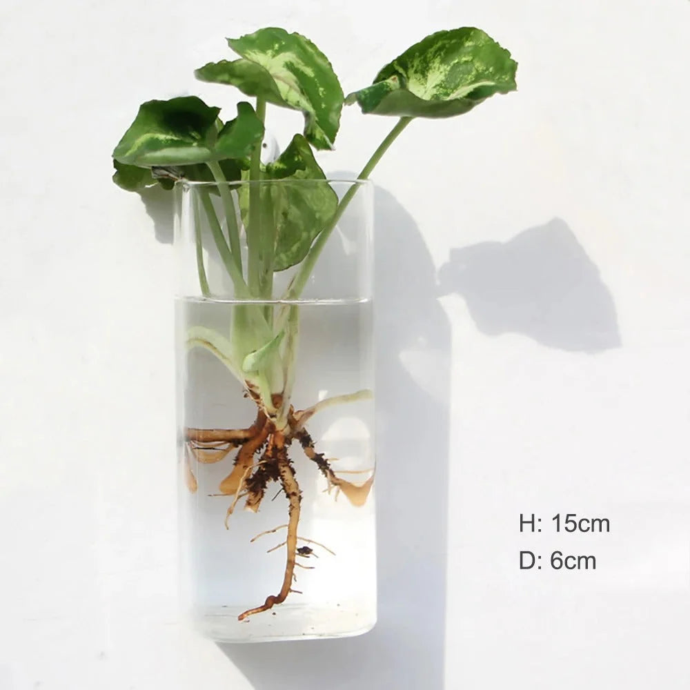 Wall Vase | Borosilicate Glass & Wall-Mounted