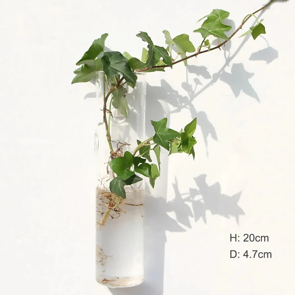 Wall Vase | Borosilicate Glass & Wall-Mounted