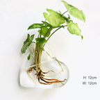 Wall Vase | Borosilicate Glass & Wall-Mounted