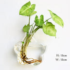 Wall Vase | Borosilicate Glass & Wall-Mounted