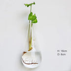 Wall Vase | Borosilicate Glass & Wall-Mounted