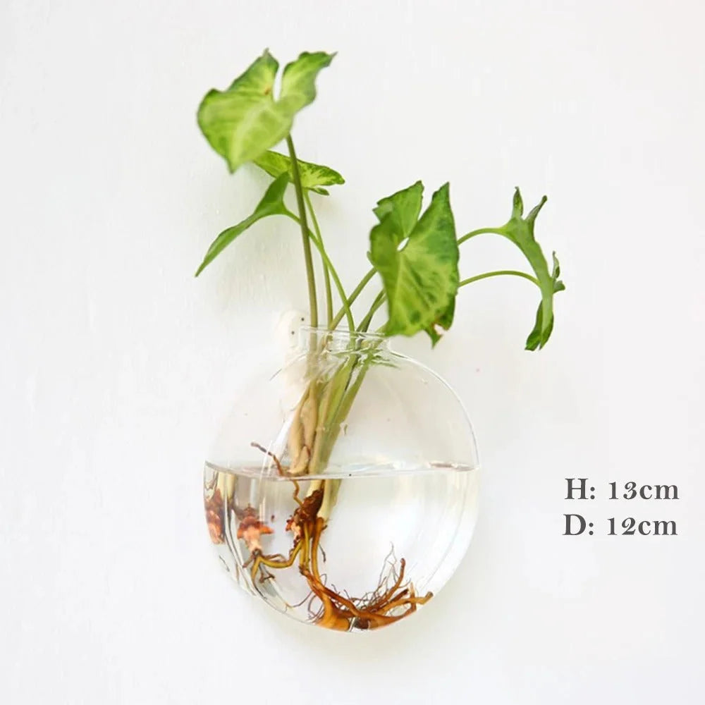 Wall Vase | Borosilicate Glass & Wall-Mounted