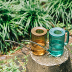 Watering Can | Long Spout & Leak-Proof