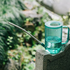 Watering Can | Long Spout & Leak-Proof
