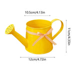 Watering Can | Painted Steel, Perforated Shower Head & Decorative Ribbon