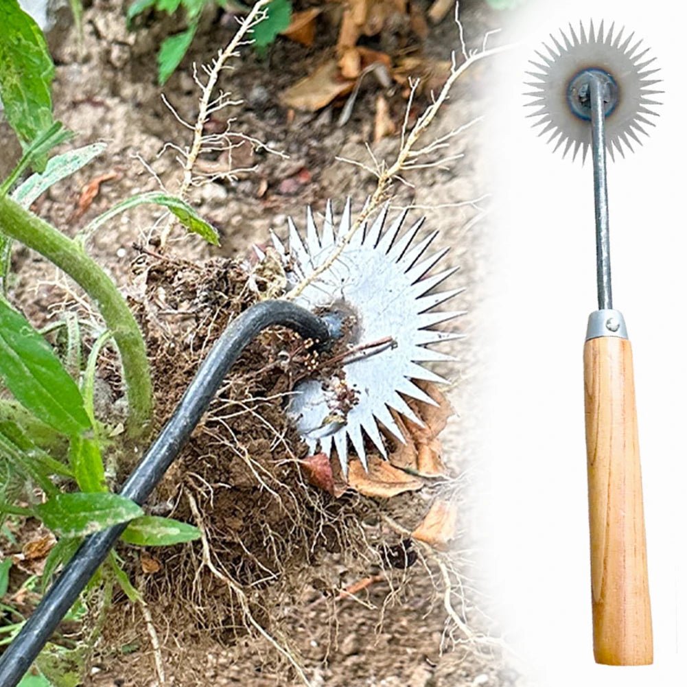 Weed Remover with Pointed Tip