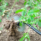 Weed Remover with Pointed Tip