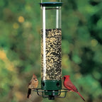 Wild Bird Feeder | Weight-Activated Squirrel-Proof Perch | 5 lb Capacity