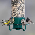 Wild Bird Feeder | Weight-Activated Squirrel-Proof Perch | 5 lb Capacity
