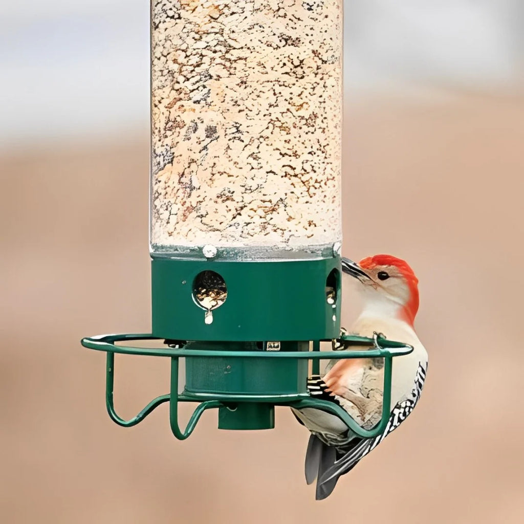 Wild Bird Feeder | Weight-Activated Squirrel-Proof Perch | 5 lb Capacity
