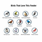 Wild Bird Feeder | Weight-Activated Squirrel-Proof Perch | 5 lb Capacity