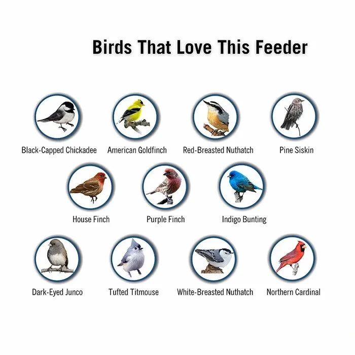 Wild Bird Feeder | Weight-Activated Squirrel-Proof Perch | 5 lb Capacity